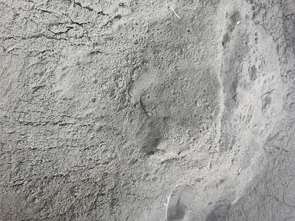 钴粉开元(中国)厂家 收购废钴价格 当天行情咨询